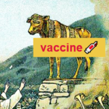 ミサ聖祭に未接種者を与らせないドイツ司教たち ―― ワクチンという偶像崇拝に墜ちた教会 ――